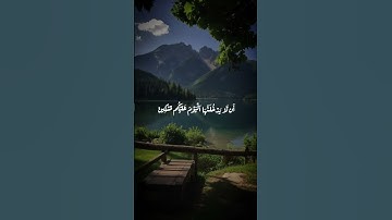 سورة القلم بصوت جميل #اكسبلور #العلم #العظماء