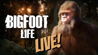 ▶️Bigfoot Life Livestream - Im A Bigfoot!