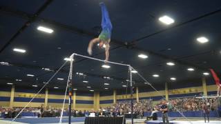 Chris Brooks - High Bar - 2017 Winter Cup Finals