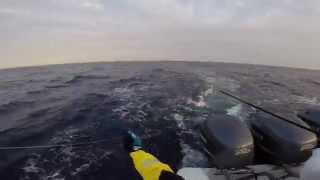 highspeed wahoo fishing