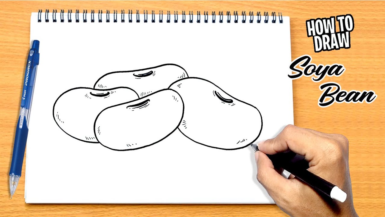 How To Draw Soya Bean