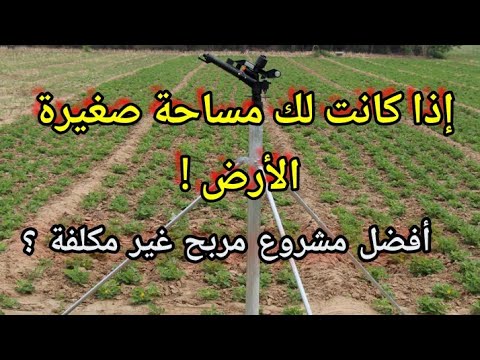 بمساحة صغيرة فقط من الأرض أفضل مشروع إستثماري مربح غير مكلفة