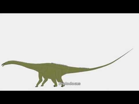 Diplodocus Sounds