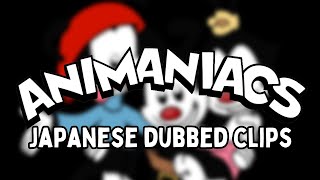 Animaniacs Japanese Dub Compilation – Rare &amp; Mostly Lost Audio Clips!