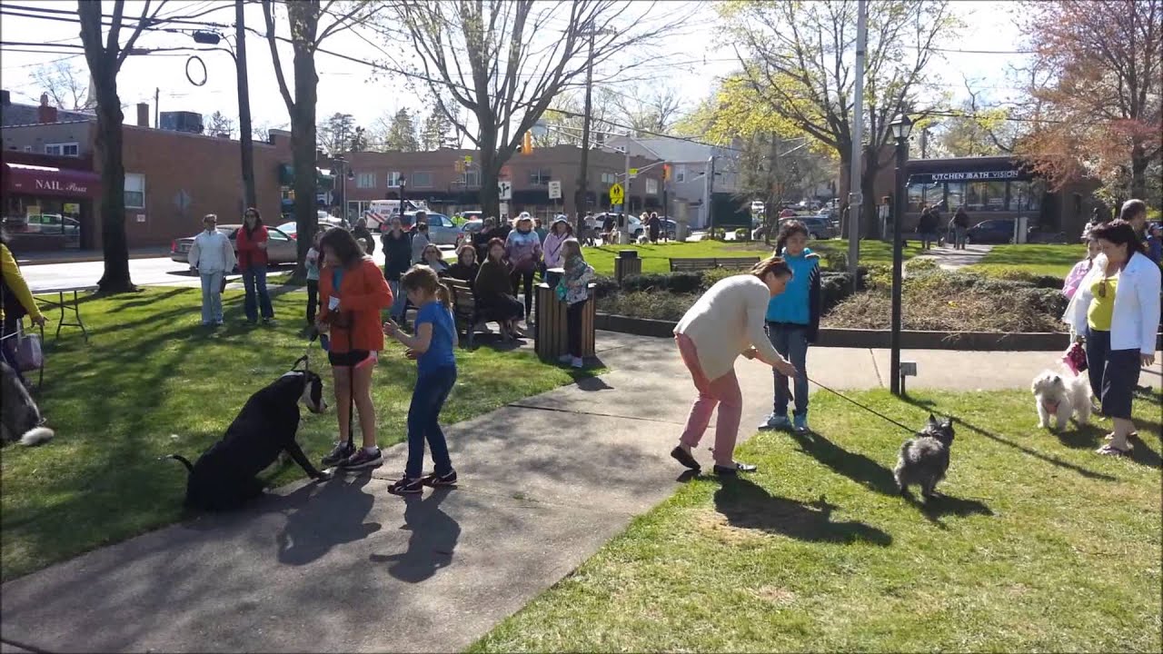 K9 Karnival in Oradell, NJ: Doggie Musical Chairs