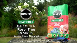 How to use Miracle-Gro® Peat Free Premium Rose, Tree & Shrub Compost
