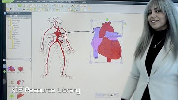 IMAGO Smart Classroom   Smart Team Collaboration All in One System