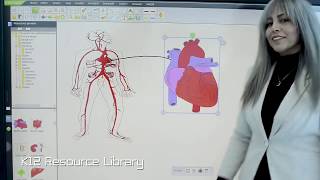 IMAGO Smart Classroom   Smart Team Collaboration All in One System