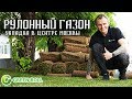 Как уложить рулонный газон. Укладка рулонного газона в Москве