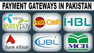 Payment Gateway for Website in Pakistan screenshot 3