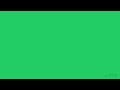 A Color a Day - Vivid Classic Chartreuse #22cc66 - 2025.12.28 by @majal