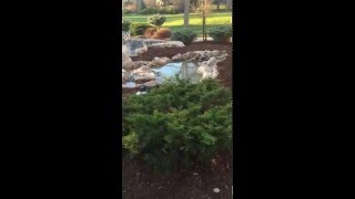 Capturing the 'zen factor' of a brand new pond-less waterfall by Genoscape Inc