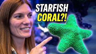 This Sandra Created One of the Coolest Corals I've Ever Seen!