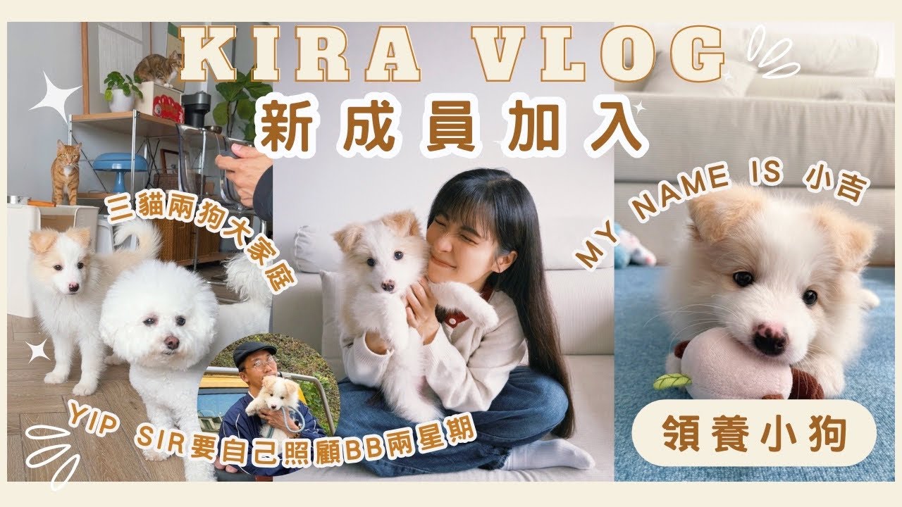 【Kira Vlog】Welcome new puppy vlog | 🏠三貓一狗之家有新成員加入‼️領養了兩個月大的狗BB🐶可愛狗狗小吉報到✨