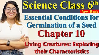 Seed Germination Conditions - Ch 10 Living Creatures: Exploring their.., Science Curiosity Class 6 Profile