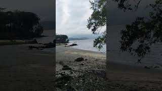 Ilha do Teixeira - Alexandra - Paranaguá - PR #parana#turismo#ilhas#trilhas