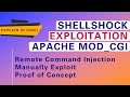 Apache mod_cgi - Shellshock- Remote