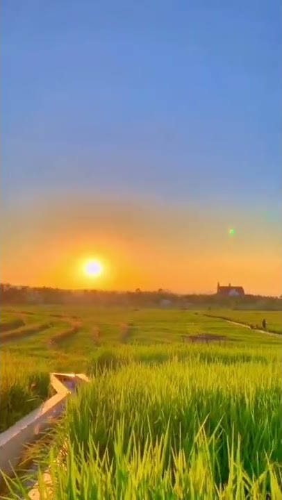 mentahan    ling download https://www.mediafire.com/file/okxq5s46lo5zwkq/AnakOrangwoy.apk/file