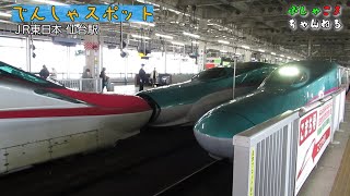 【電車スポット】JR仙台駅で E5 H5系 はやぶさ E6系こまち を見てきたよ