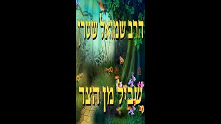 להנצל מן השוחד - הרב שמואל שטרן ברסלב Breslev