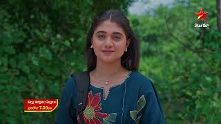 Illu Illalu Pillalu - Promo | 25th Aug 2026 | Mon - Sun at 7:30 PM | Star Maa Serials | Star Maa screenshot 5