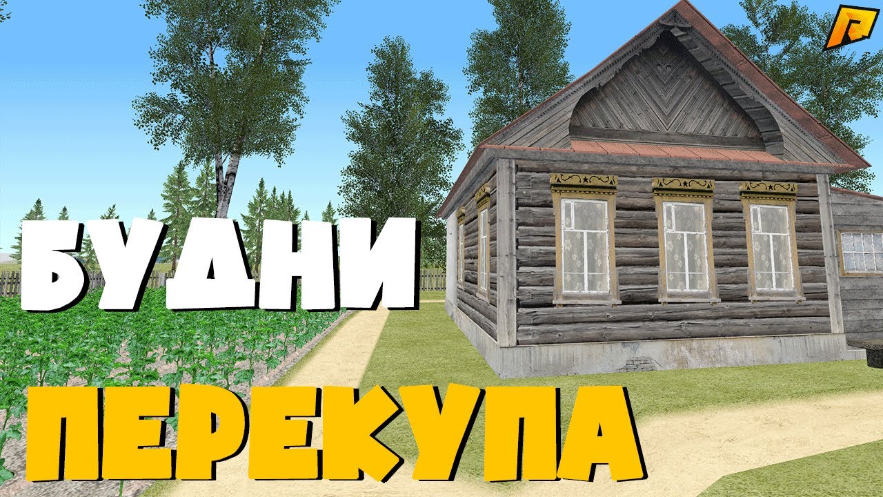 Модель домашнего авто радмир
