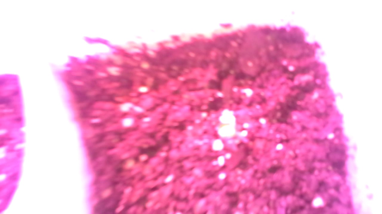 Closet grow mars hydro foxfarm soil