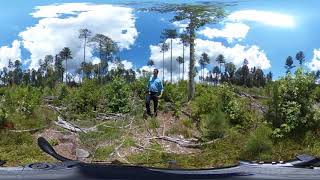 360 Video - Stand Dynamics Intro and Early Stand Initiation