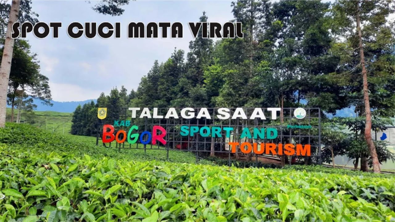 Cobain ke Tempat VIRAL terbaru di Puncak Bogor, Telaga Saat