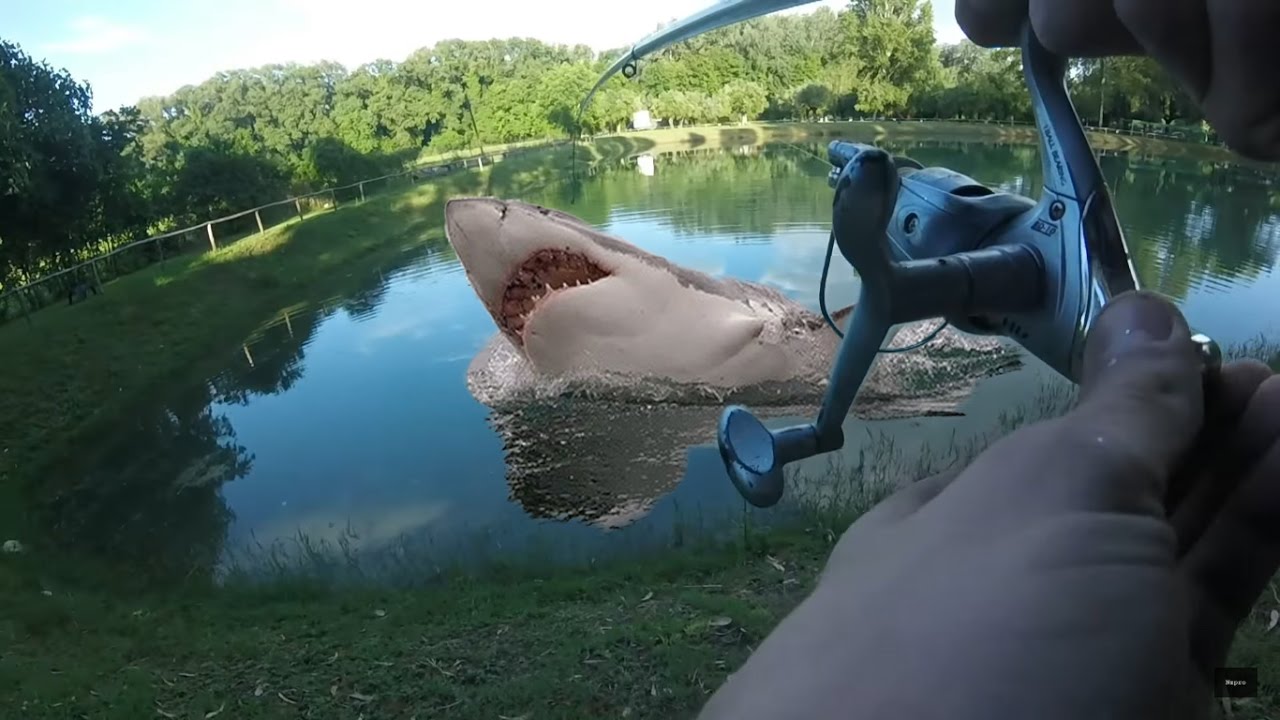 Carp Fishing Fail!!! - YouTube