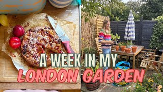 A WEEK IN MY SMALL LONDON GARDEN / PLUM CAKE, FLOWER BISCUITS AND TALKING ABOUT BOOKS! 
