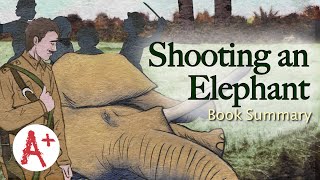 Shooting an Elephant Video Summary