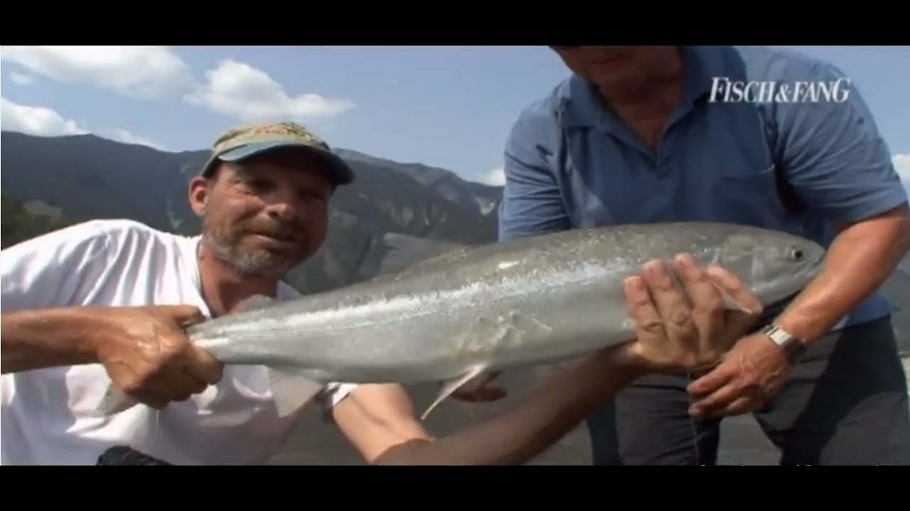 Lachs, Steelhead, Heilbutt - Angelabenteuer in Kanada