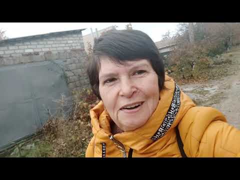 Video: Značilnosti Novega Leta - Leta Modre Lesene Koze