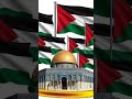 تفاؤل وأمل فلسطين جايينك