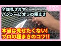 【プロが実演】家庭でできるパンジービオラの失敗しない種まきのやり方 園芸 ガーデニング by 園芸チャンネル 270