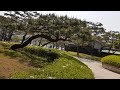 가곡 청산에 살리라 엄정행 노래 (배경:서일농원)