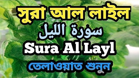 سورة الليل  Sura Al Layl সুরা আল লাইল