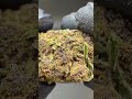 LEGENDARY PLATINUM OG - bred by High Alpine Genetics #ukcbd #hempflower #cbdflower
