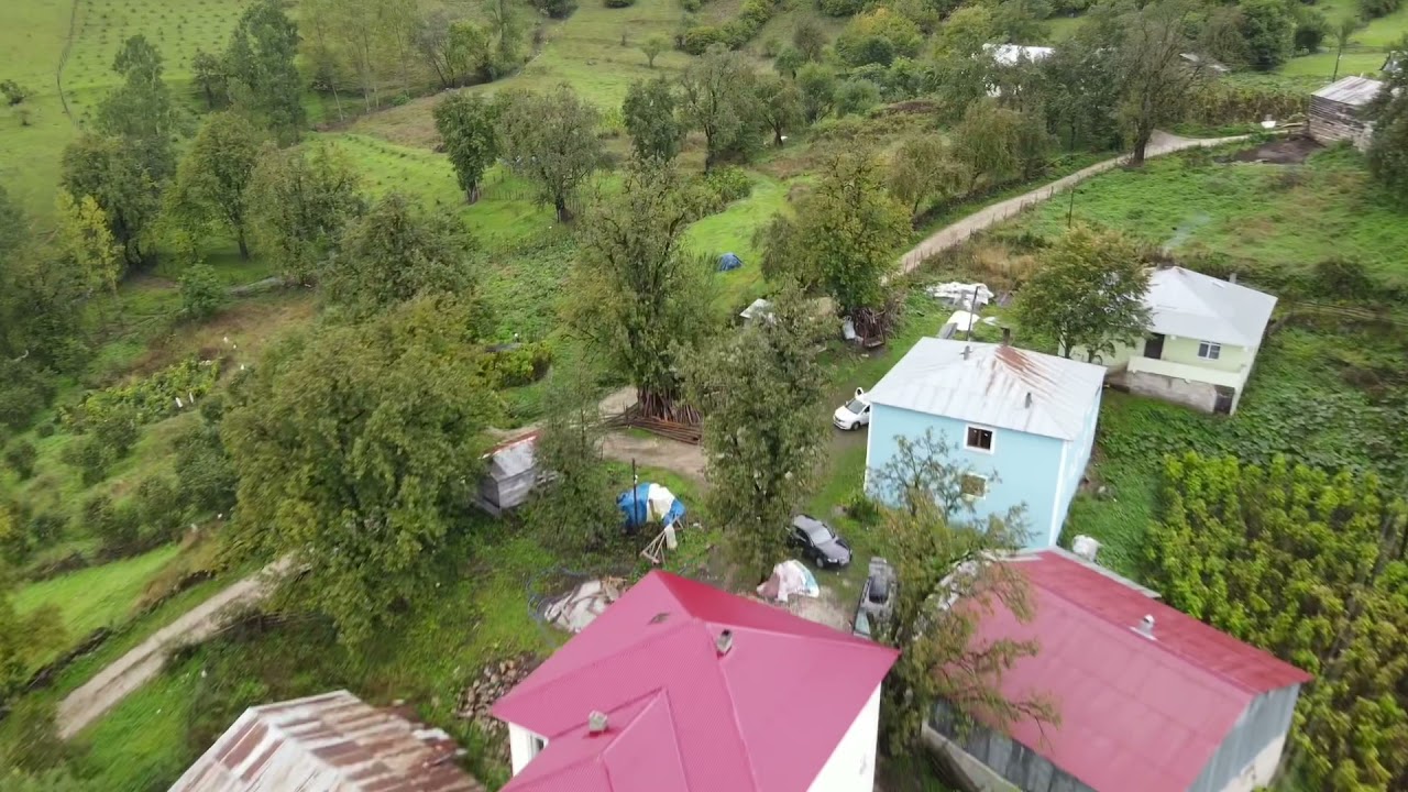 Giresun Yavuzkemal Kayalan köyü