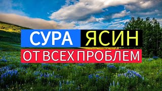 СУРА ЯСИН 40 РАЗ ОТ ВСЕХ ПРОБЛЕМ. ИН ШАА АЛЛАХ!