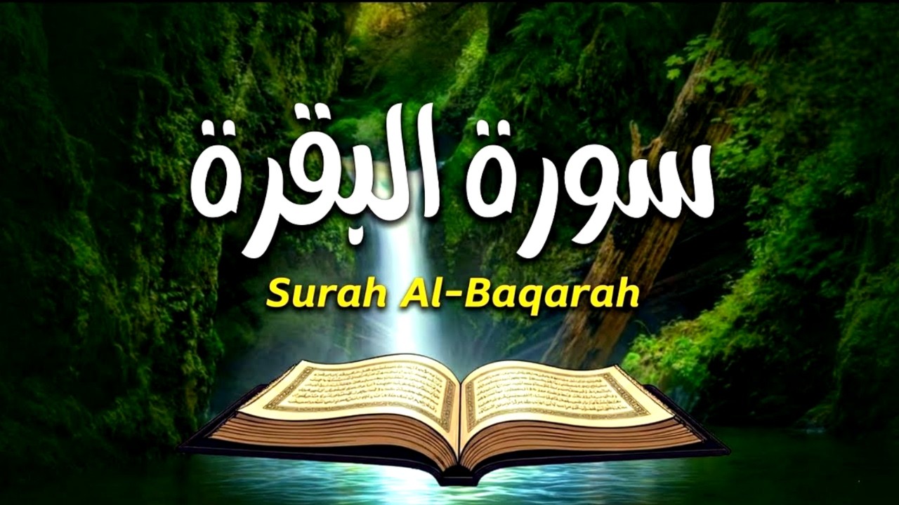 سورة البقرة _ قران الصباح و المساء لحفظ وتحصين المنزل وجلب البركة | Sourah Baqara quran karem