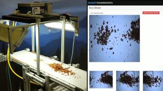 Smart Vision Works