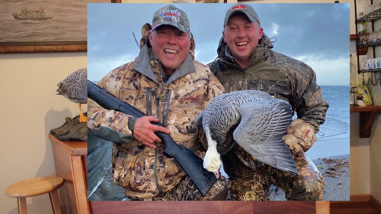 Hunt 41 Emperor Goose hunting Cold Bay Alaska YouTube
