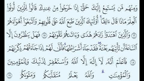 TAFSIIRKA:◇:سورة محمد من١٦-١٩:◇:SH:-MAXAMAD CABDI UMAL حفظه الله