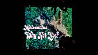 transition20 (what went away)