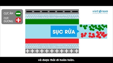 Công Nghệ Lọc Nước CDI Hoạt Động Như Thế Nào ?
