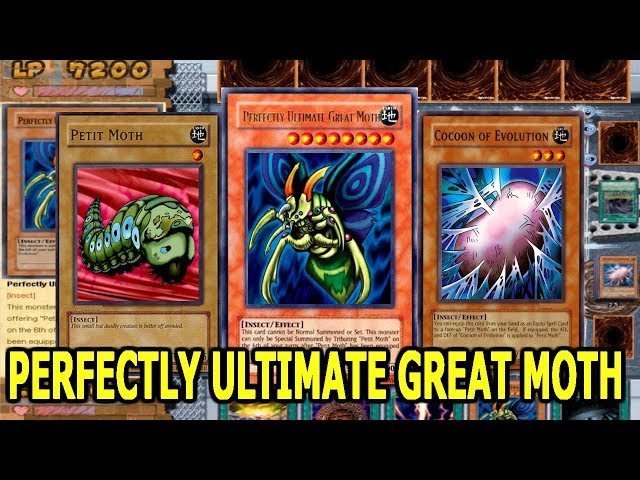 yugioh 5d's lost sanctuary structure deck Amazon.com: Yu-Gi-Oh Cards 5D's - Structure Deck main image 1
