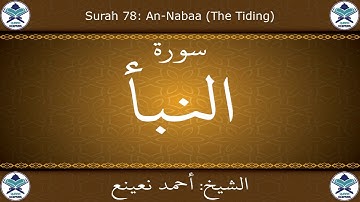 القرآن الكريم بصوت احمد نعينع - سورة النبأ