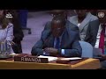 Rwandan envoy says new UN report ‘fails to address’ hate speech, mercenaries in DR Congo